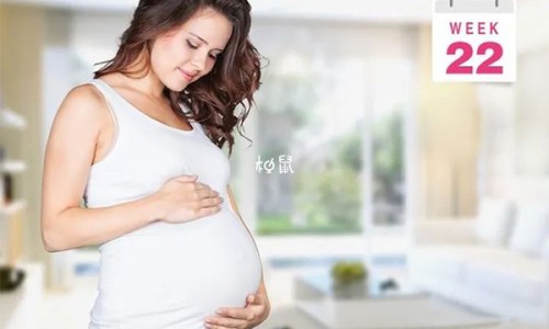 地鳖别名又叫什么-地鳖的药用功效网 | 地鳖的药用功效与主治,地鳖的药用功效与禁忌