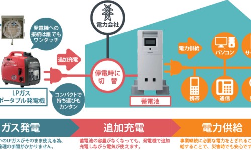 地鳖蠊科-地鳖的药用功效网 | 地鳖的药用功效与主治,地鳖的药用功效与禁忌