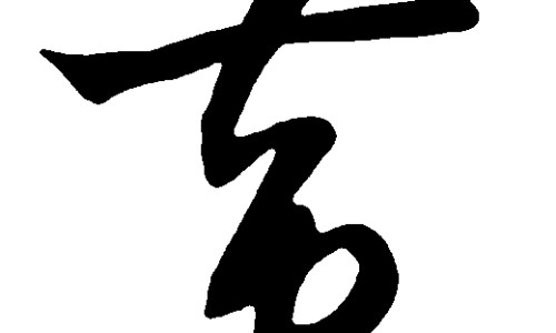 地鳖的药用功效与禁忌-地鳖的药用功效网 | 地鳖的药用功效与主治,地鳖的药用功效与禁忌